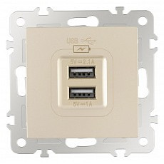 Розетка usb, без рамки arte milano am-206 206.46-1.shampan